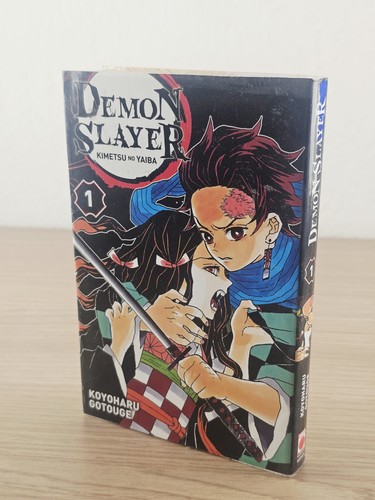 Demon slayer kimetsu yaiba - slayer,