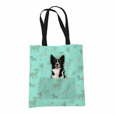 Border Collie Cani da Pastore