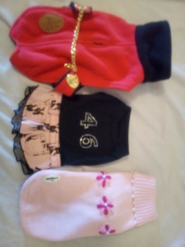 Abbigliamento per cani