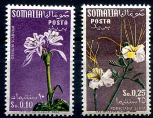Somalia afis 1959 - somalia, fiori