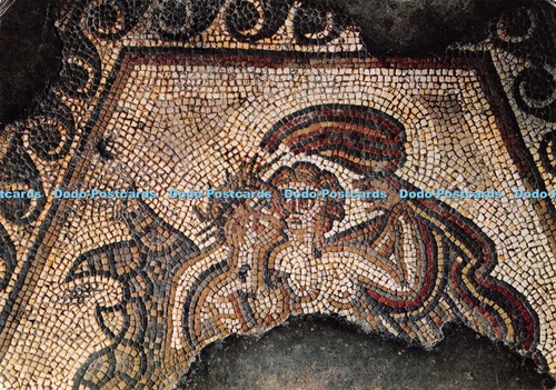 D121922 chedworth roman villa - d121922,
