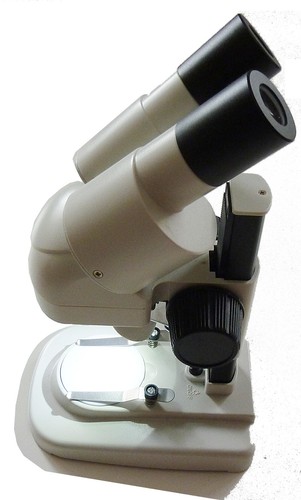 Microscopio stereoscopico 20x