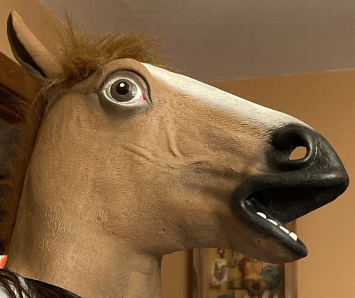 Maschera testa cavallo viso - testa, di