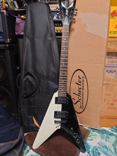 Custodia morbida per - , chitarra