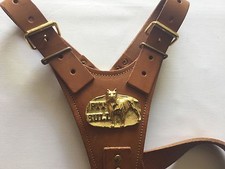 Imbracatura in pelle marrone