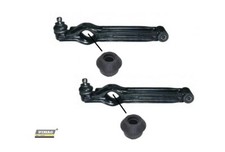 Coppia Bracci Oscillanti