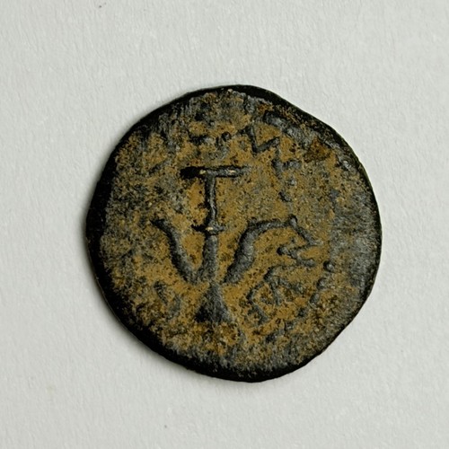 Giudea acaro vedova alexander - giudea,