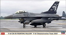 HASEGAWA 1/48 F 16CM 50