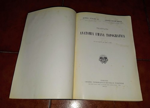 Fusari bruni trattato - fusari,