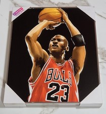 Michael Jordan Chicago Bulls