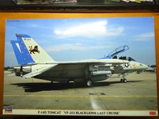 Hasegawa 1/48 F-14D TOMCAT
