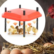 Piastra riscaldante pulcino