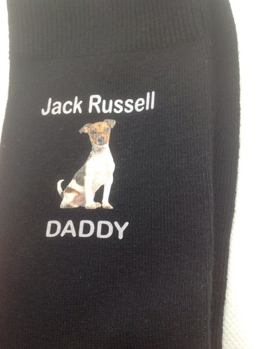 Jack russell daddy terrier - jack,