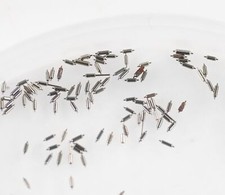 100x Perni Staff Leva Per