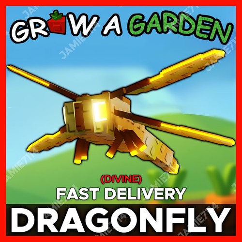 Dragonfly più economico - |,