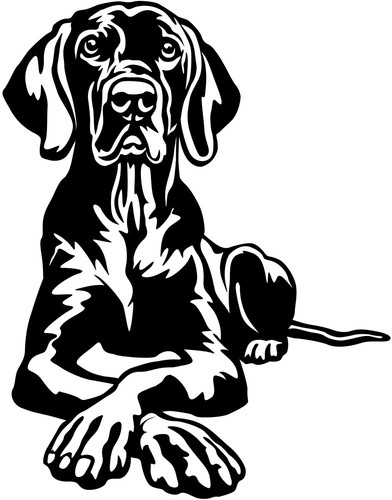 Adesivo weimaraner - -,