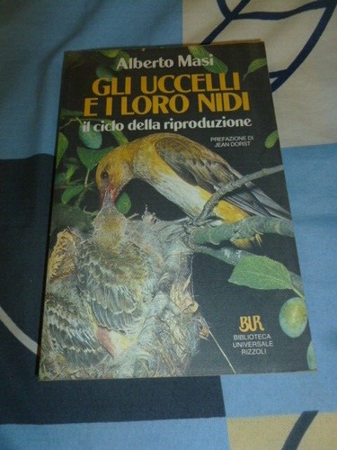 Gli uccelli loro - gli,