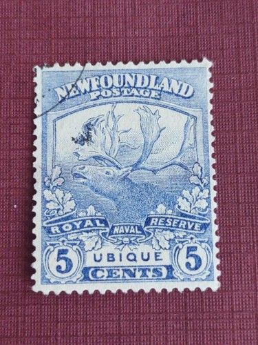 Newfoundland 1919 caribou - newfoundland, ,