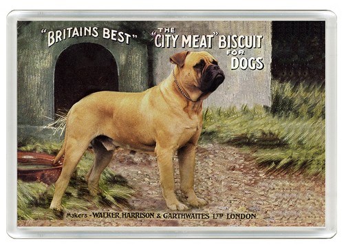 Bullmastiff dog fridge magnet - bullmastiff,