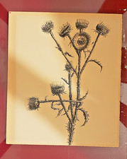 grafica disegno a china fiori