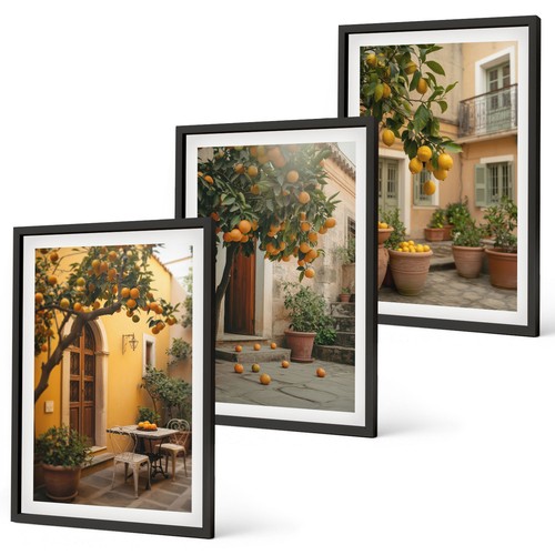 Decorative framed pictures - pictures, for