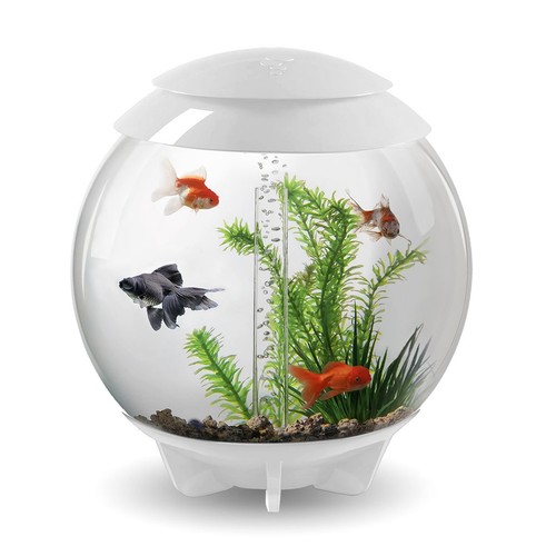 Biorb halo acquario 30l - halo,