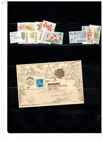 Barbados collection over - collection, 80
