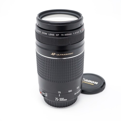 Canon 300mm 5 - 75-300mm, iii