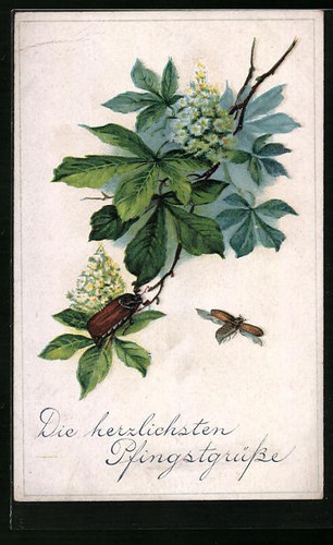 Litografia fiore castagno - litografia,