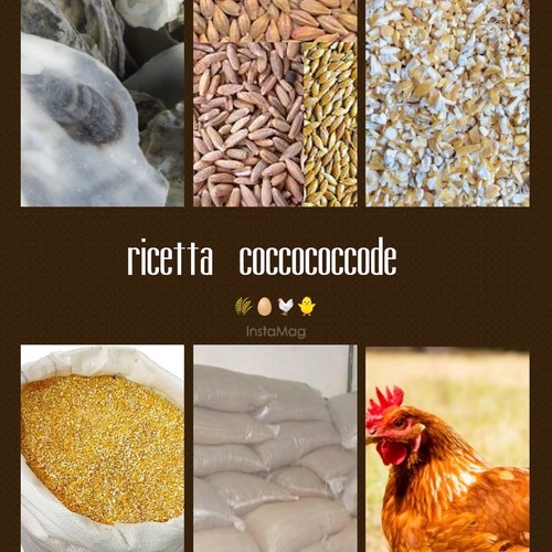 Mix cereali con - gusci, di