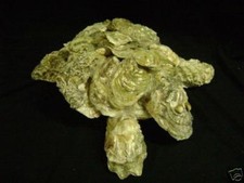 tartaruga realizzata con gusci di ostrica vintage modernariato