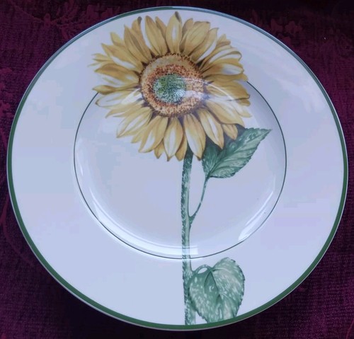 Piatti portata villeroy - piatti,