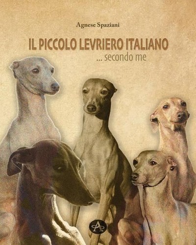 Libro nuovo agnese spaziani - libro,
