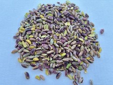 Pistacchio Sgusciato Naturale