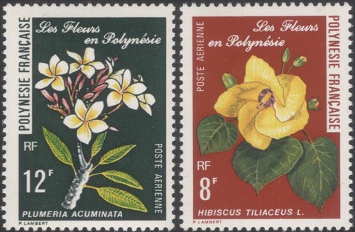 Polinesia francese 2007 - polinesia,