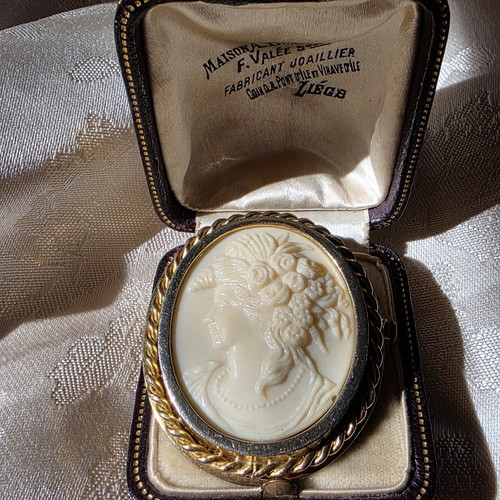 Superbe broche camée ovale - broche,