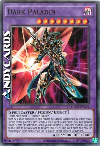 Dark paladin paladino - dark, (paladino