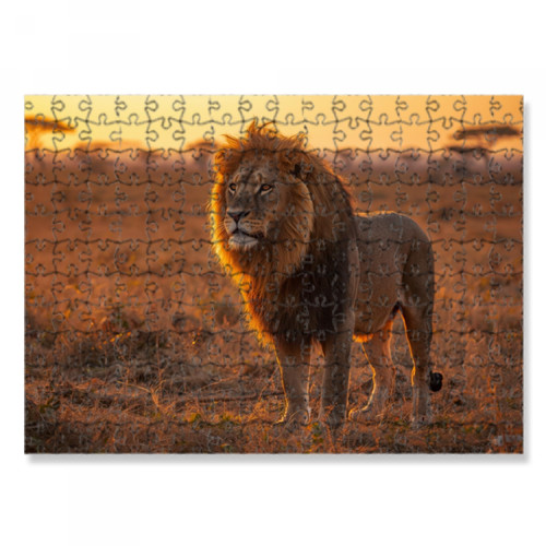 Puzzle 30x40 animali feroci - 30x40,