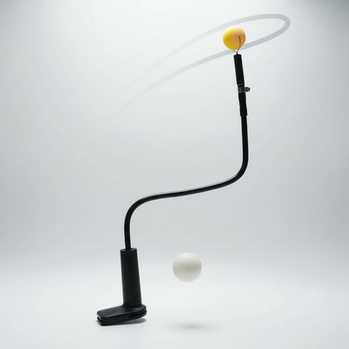 Allenatore table tennis - allenatore,