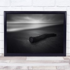 Log Tree Lumber Driftwood