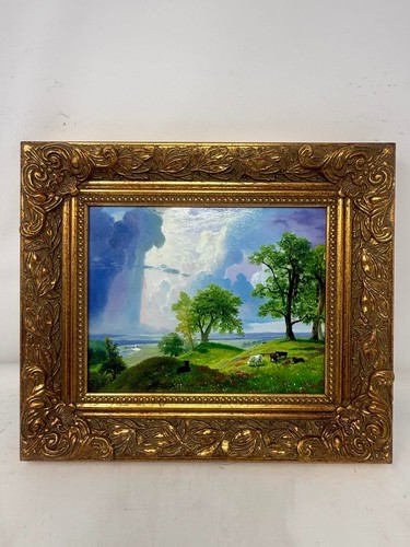 Mattina pascolo verde