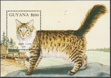 Guyana 1992 Maine Coon Gatti Domestici Animali Natura Animali m/s MNH