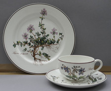 Villeroy & Boch Botanica 1