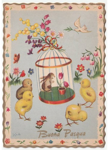 1961 galbi pasqua - galbi, cartolina