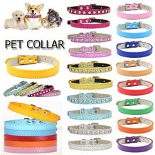 Freddo Per Animali Di Cucciolo