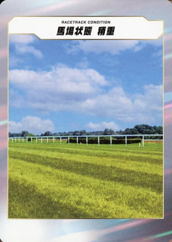 Card racetrack condizione - racetrack,