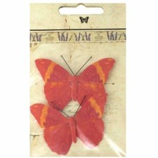 Farfalle decorative colore