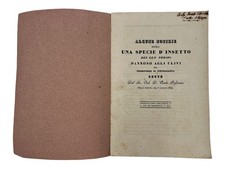 PASSERINI - INSETTO DANNOSO