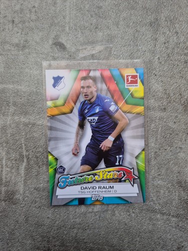 David raum tsg - fs-dr,