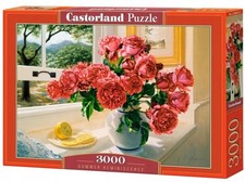 Castorland Puzzle 3000 Pezzi
